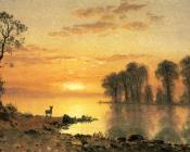 阿尔伯特 比尔施塔特 : Sunset Deer and River